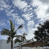 VALUMOMENT PRO 高光时刻旗舰店 ico