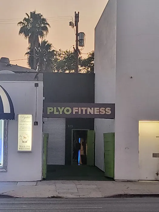 PLYO FITNESS at HOLLYWOOD GYM Picture 5