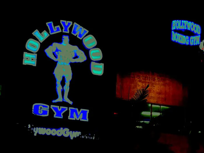Hollywood Gym Picture 5