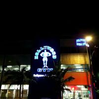Hollywood Gym ico