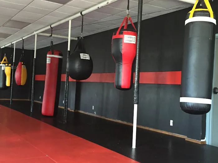 Hollywood Gym Picture 3