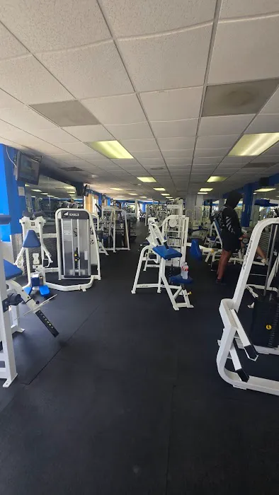 Boxing on the Boulevard Picture 2