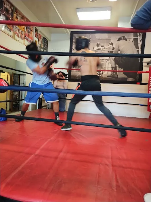 Boxing on the Boulevard Picture 10