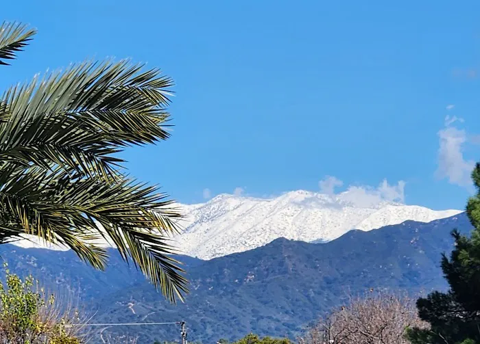Planet Fitness Picture 7