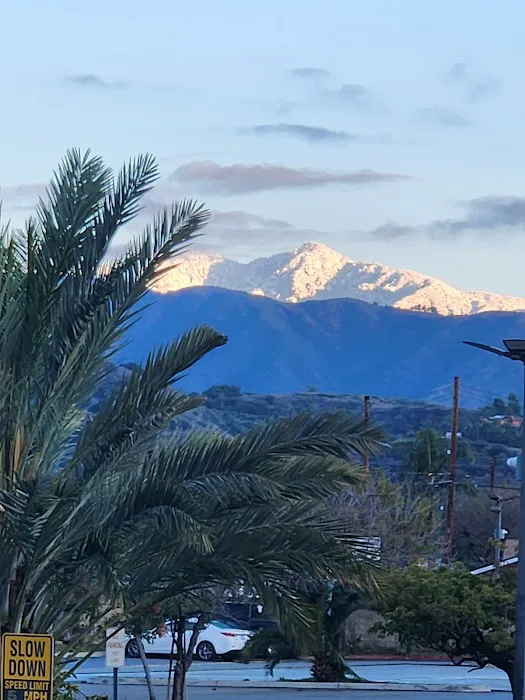 Planet Fitness Picture 6