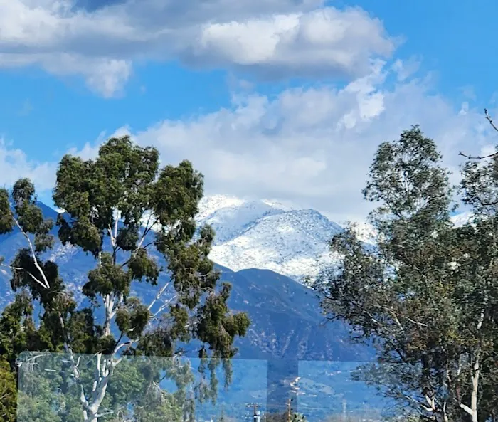 Planet Fitness Picture 5