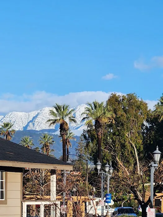 Planet Fitness Picture 10