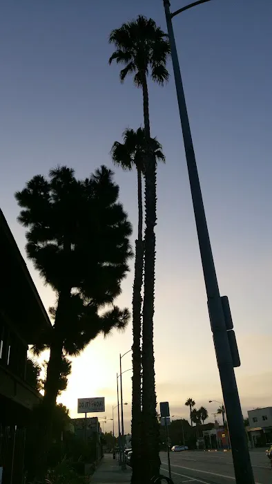 Do it Now ! Fitness Club Picture 2