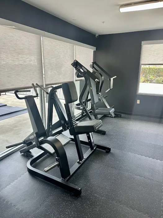 Windfall Fitness Picture 6