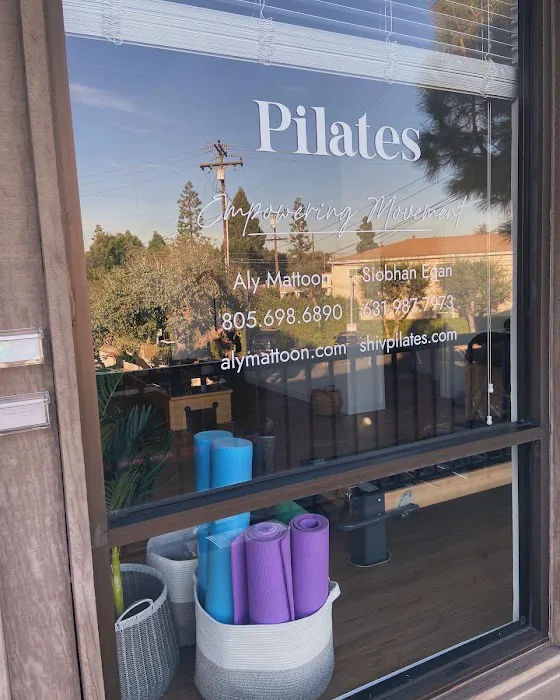 Pilates With Aly Picture 5