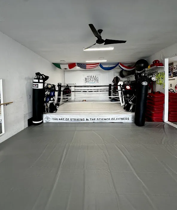 The Thai Boxing Institute Picture 4