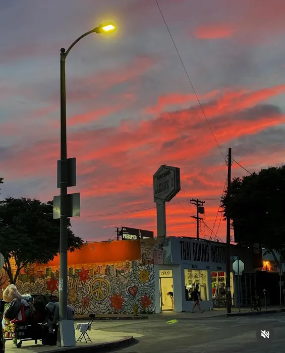 The Thai Boxing Institute Picture 5