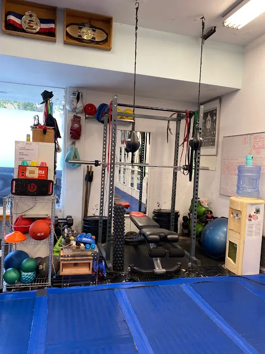 The Thai Boxing Institute Picture 10