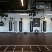 Gonza Boxing Union ico