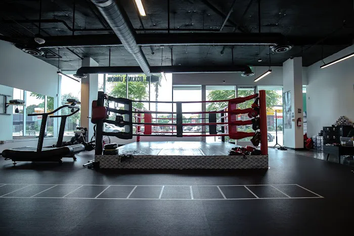 Gonza Boxing Union Picture 2