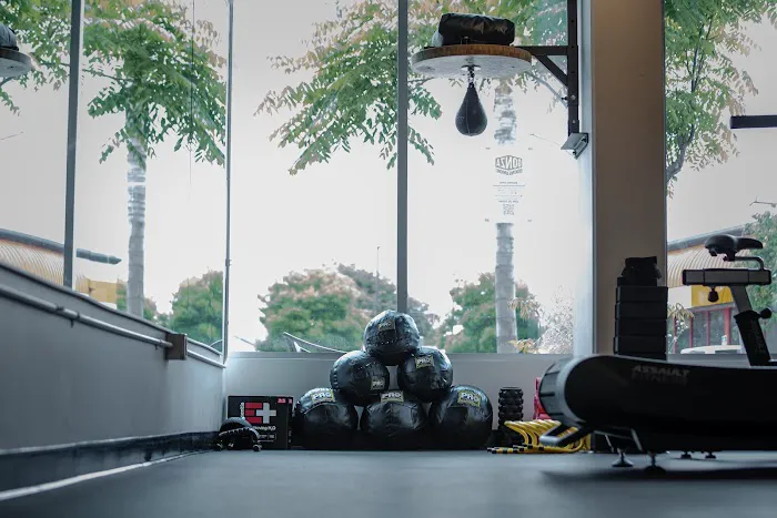 Gonza Boxing Union Picture 8