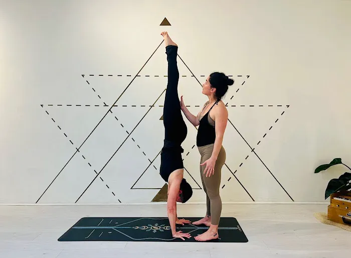 Light On Lotus Picture 2