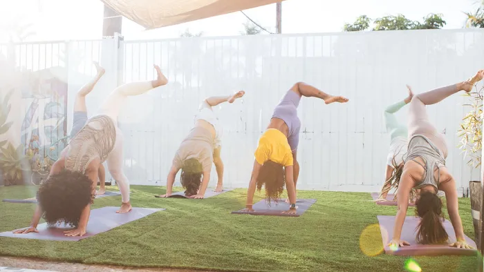 Light On Lotus Picture 9