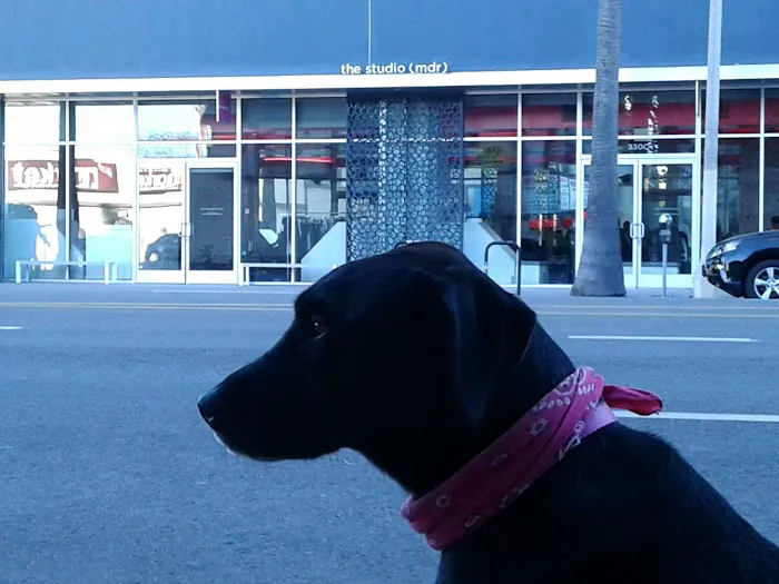 The Studio (MDR) East Picture 5