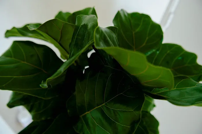 Anastasio Pilates Picture 9