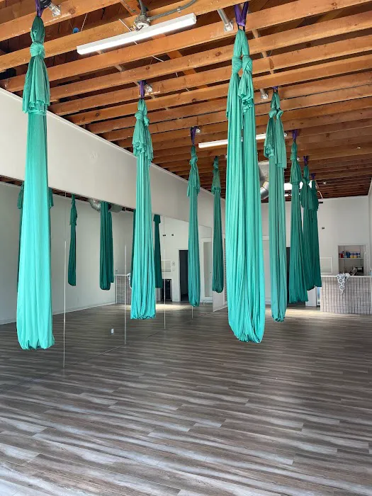 AIR Aerial Fitness Picture 8