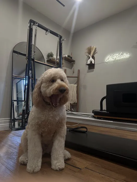 Oh pilates Studio Picture 1