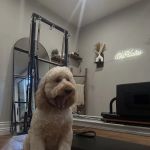 Oh pilates Studio