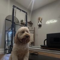 Oh pilates Studio ico