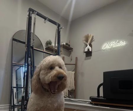 Oh pilates Studio