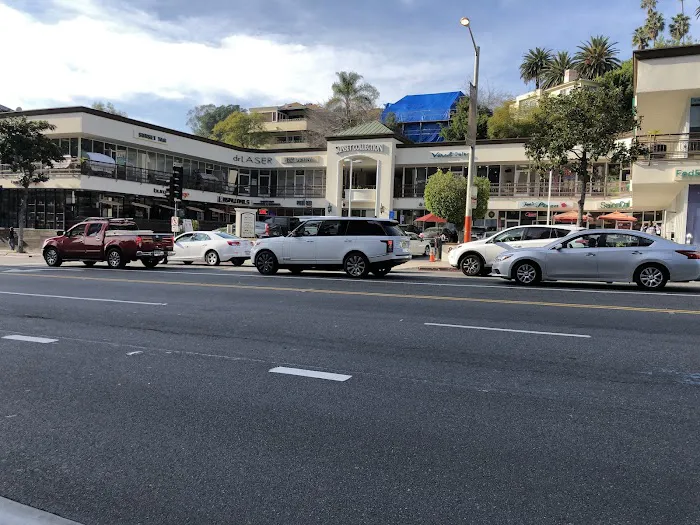 Leo Zen Yoga Ballet Picture 1