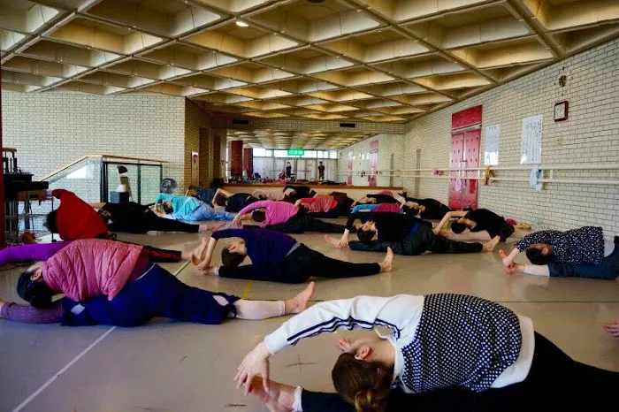 Leo Zen Yoga Ballet Picture 6