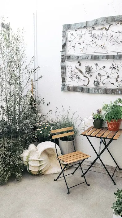 Silver Springs Picture 8