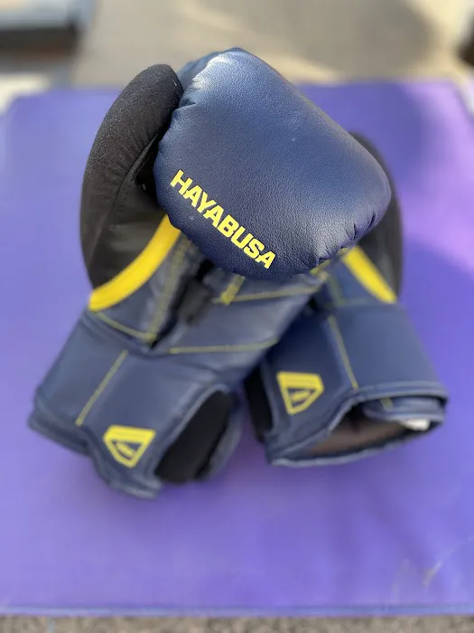 Omarboxingclub Picture 5