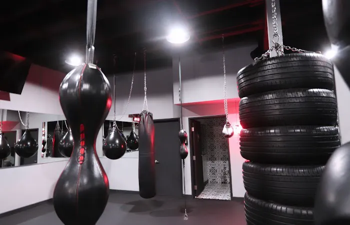 Madcity Boxing Picture 4