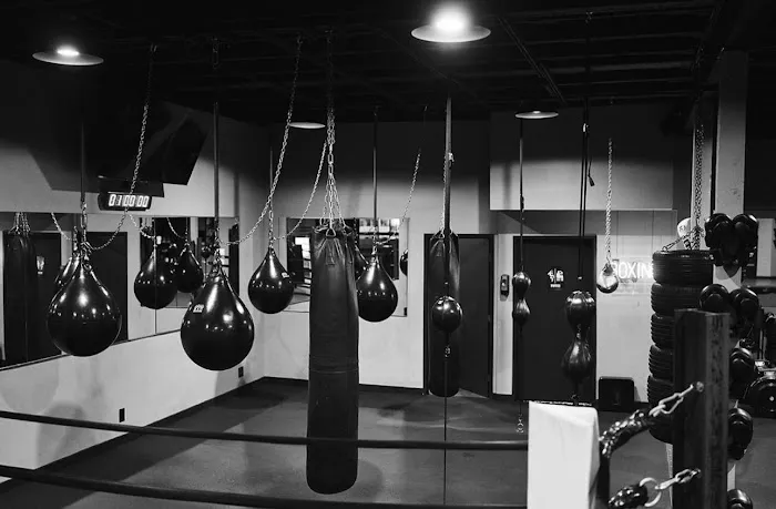 Madcity Boxing Picture 6