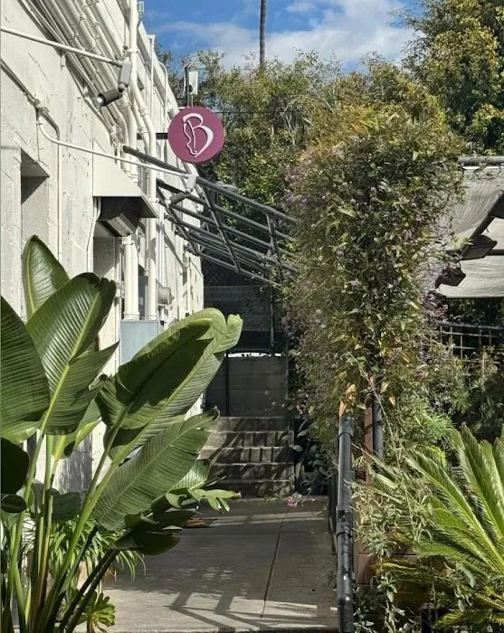 The Barboza Method Picture 10