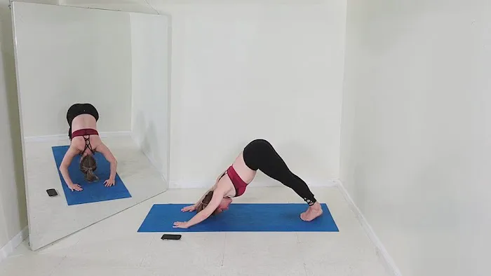 The Barboza Method Picture 8