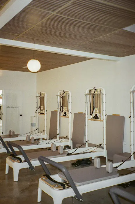 The Body Collective Picture 2