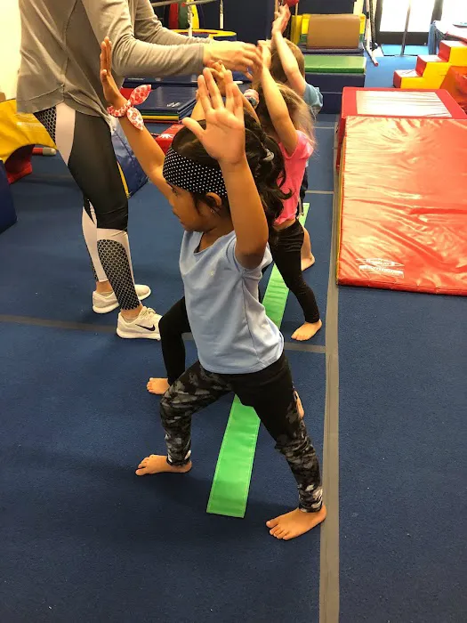 Us Too Gymnastics Picture 6