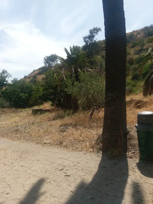 Runyon Canyon Yoga Picture 2