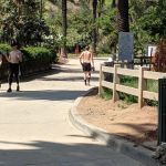 Runyon Canyon Yoga
