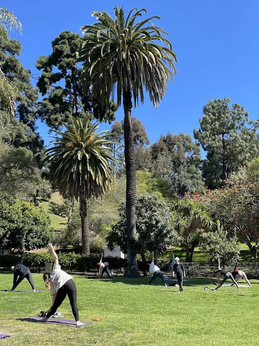 Runyon Canyon Yoga Picture 3