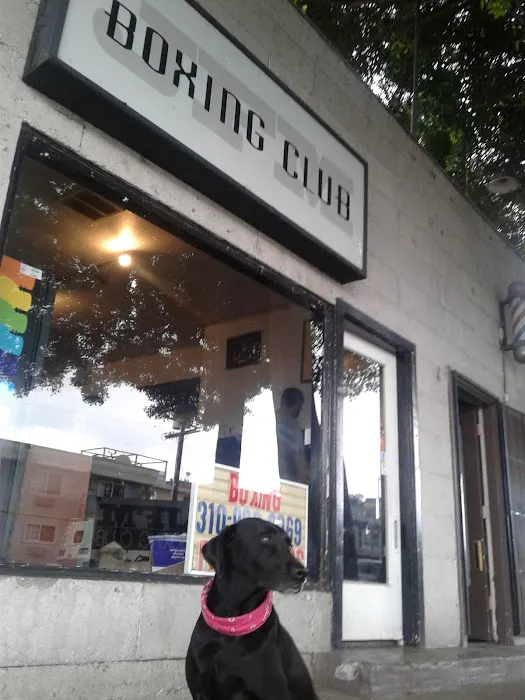 JFM Boxing Club Picture 1