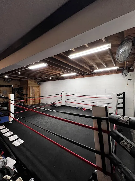 JFM Boxing Club Picture 6