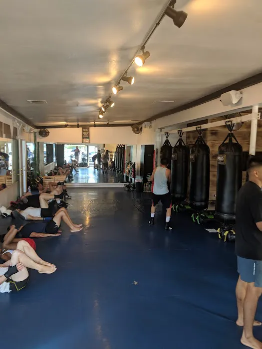 JFM Boxing Club Picture 7