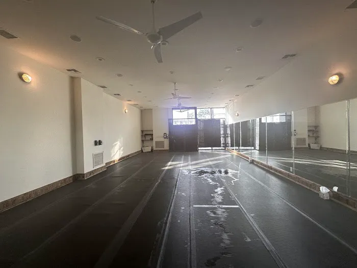 Hot Yoga Los Angeles Picture 3