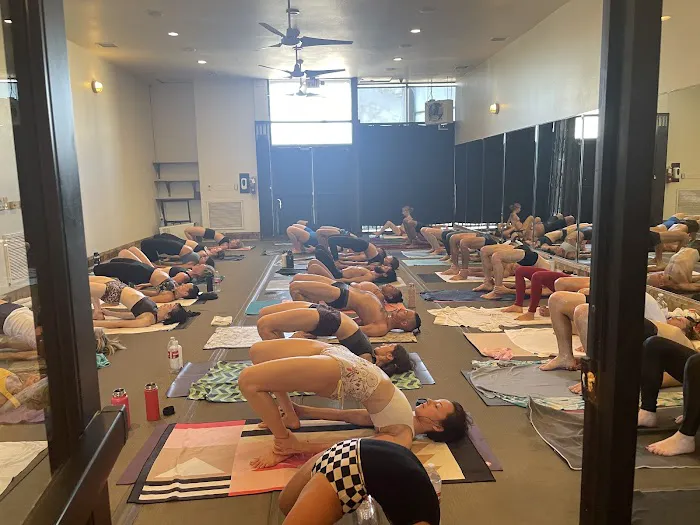 Hot Yoga Los Angeles Picture 6