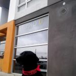 Studio U