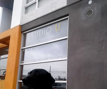 Studio U
