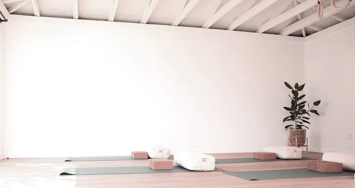 Maya Sali Yoga Picture 4